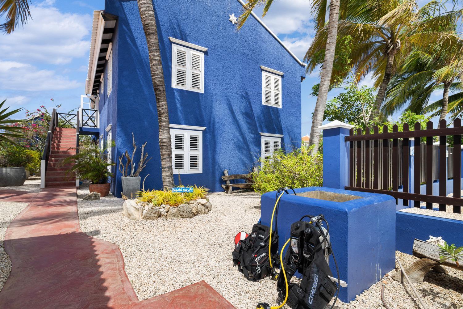 Blachi Koko Apartments Kralendijk  Luaran gambar